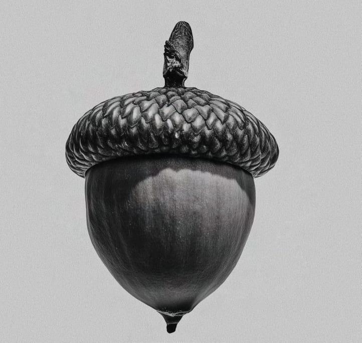Cocoa Hazelnut — specimen plate