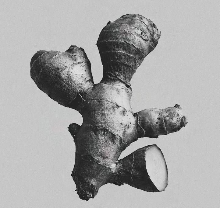Makhir Ginger — specimen plate